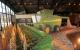 John Deere Sets World Record with Combine Constructed from Food